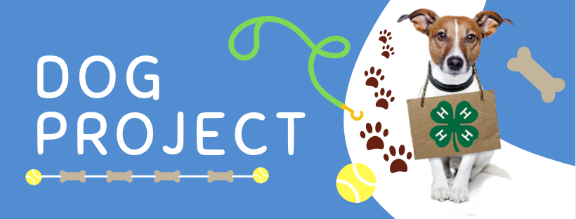 pet project