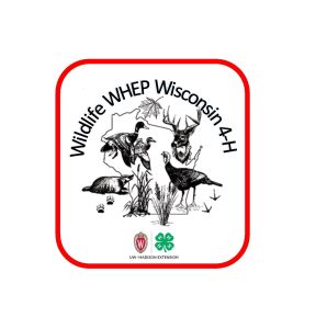 Wildlife WHEP Wisconsin 4-H & Wisconsin 4-H Forestry