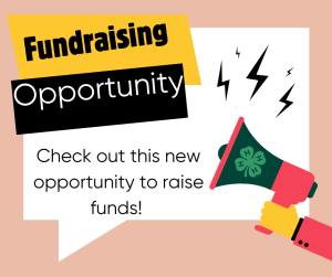 Fundraising That’s Right Up Your Alley!