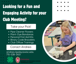 Looking for a Fun and Engaging Activity for Your Club Meeting?