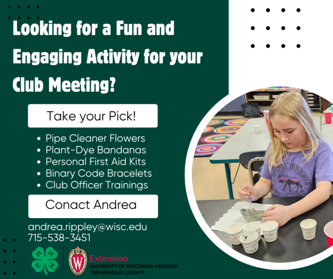 Looking for a Fun and Engaging Activity for Your Club Meeting?