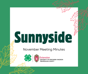 Sunnyside Novmeber Meeting Minutes