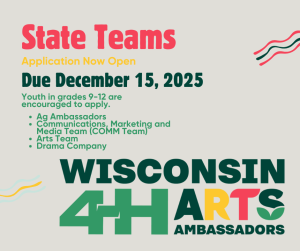 State Arts Team Applications Now Open!