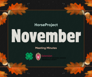 Horse Project November Meeting Minutes