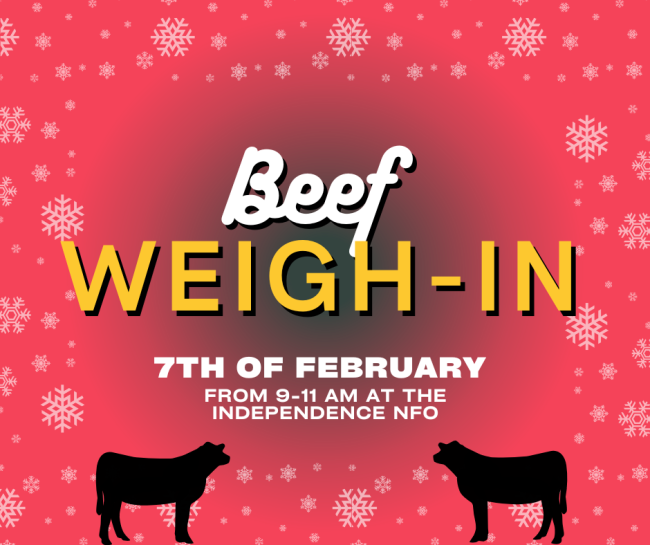 Beef Weighin Sign up