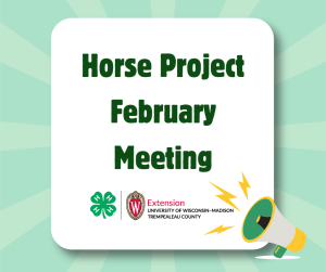 Horse Project February Meeting