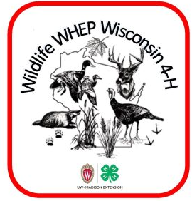 Wildlife-Forestry 4-H Art Contest