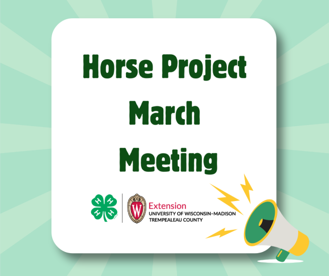 Horse Project March Meeting