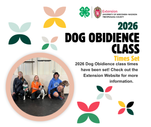 2026 Dog Obidience Class Times Set