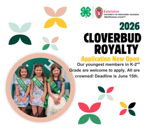 Cloverbud Royalty Applications Now Open