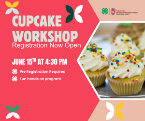 Fair Exhibit Alert: Decorate Your Way to the Fair!