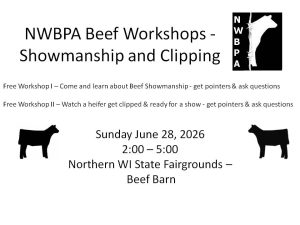 Beef Clipping and Showmanship Clinic