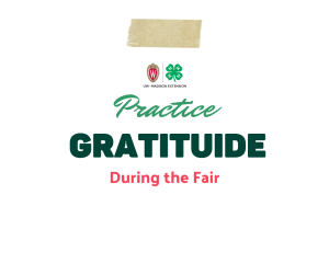 Practice Gratituide