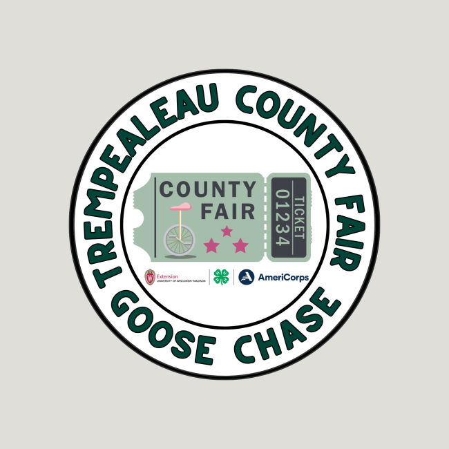 3rd Annual Fair Goose Chase