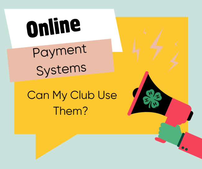 Online Payment Systems: Can My Club Use Them?