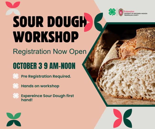 Sourdough Bread Workshop