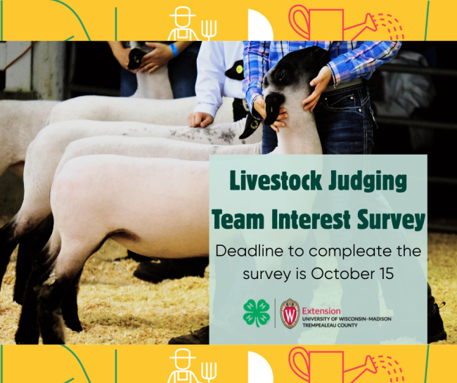 New Opportunity: Judging Team Interest Survey