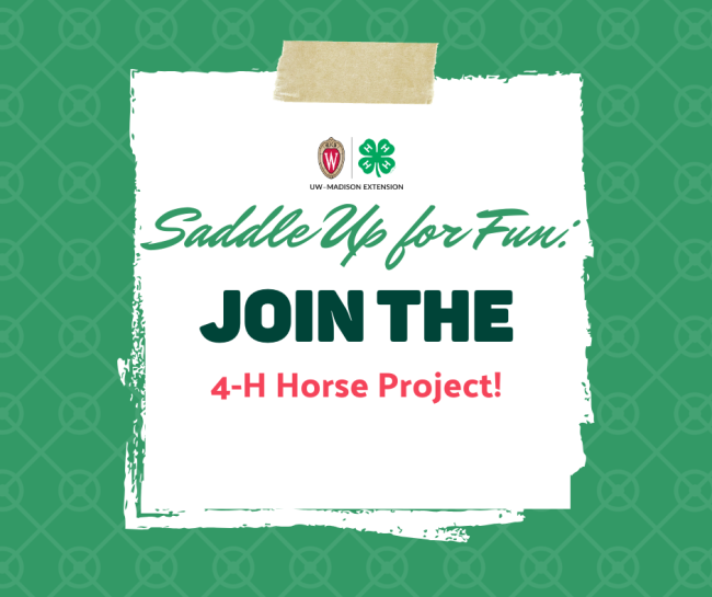 Saddle Up for Fun: Join the 4-H Horse Project!
